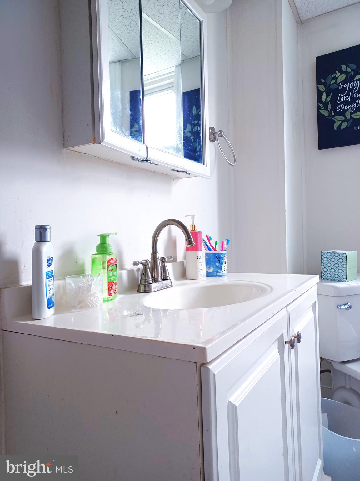 43 West Ferdinand Street Manheim, PA 17545 - Photo 5 of 23 a close view of sink and tap