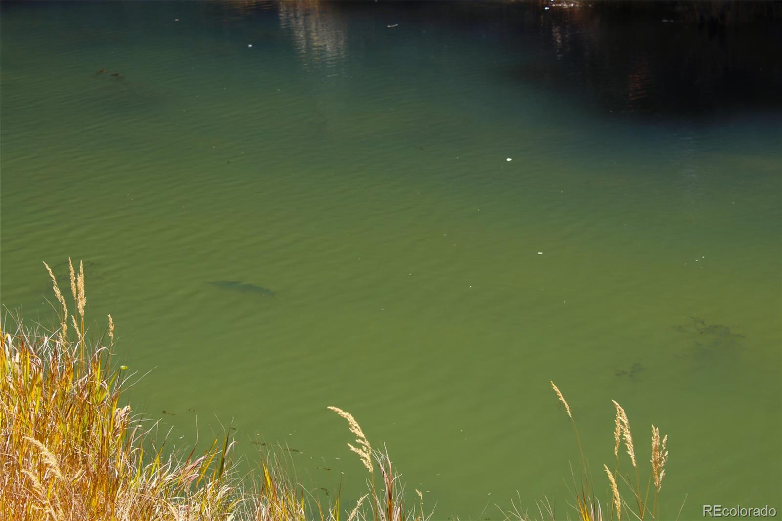 38938 Nf-250 Del Norte, CO 81132 - Photo 12 of 22 a view of a lake view