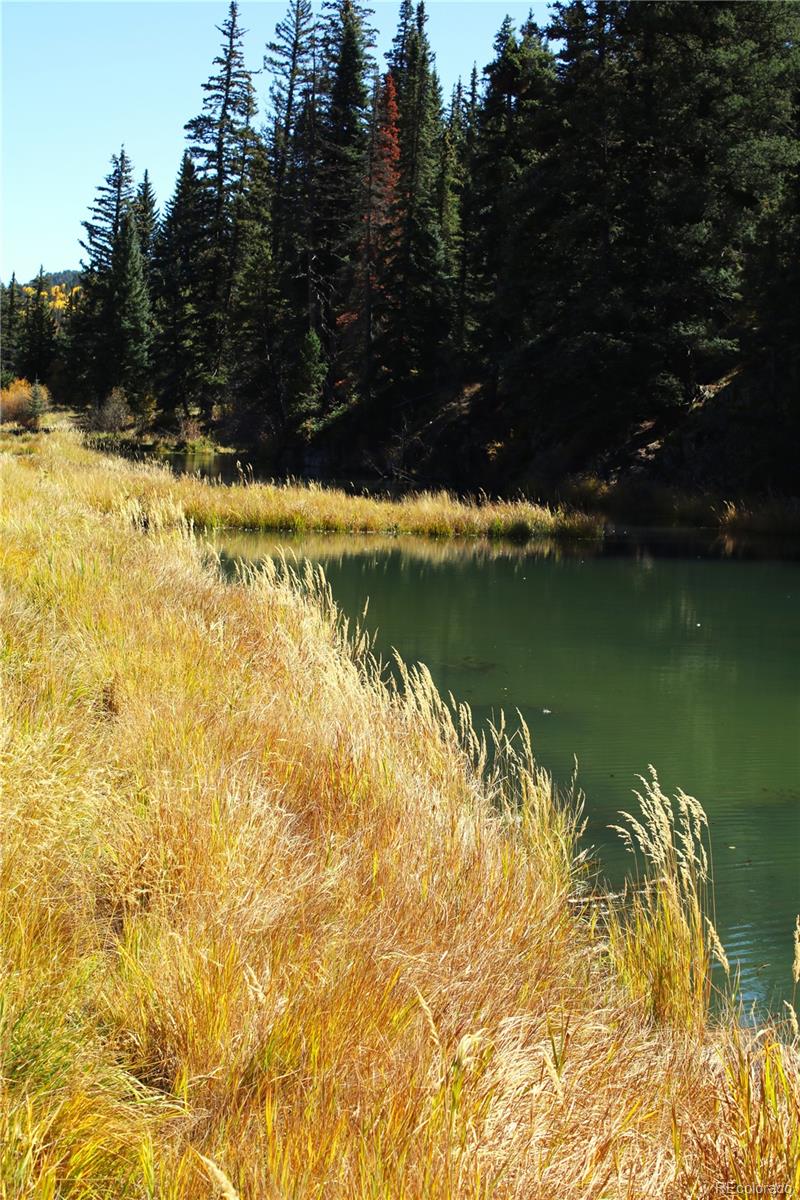 38938 Nf-250 Del Norte, CO 81132 - Photo 14 of 22