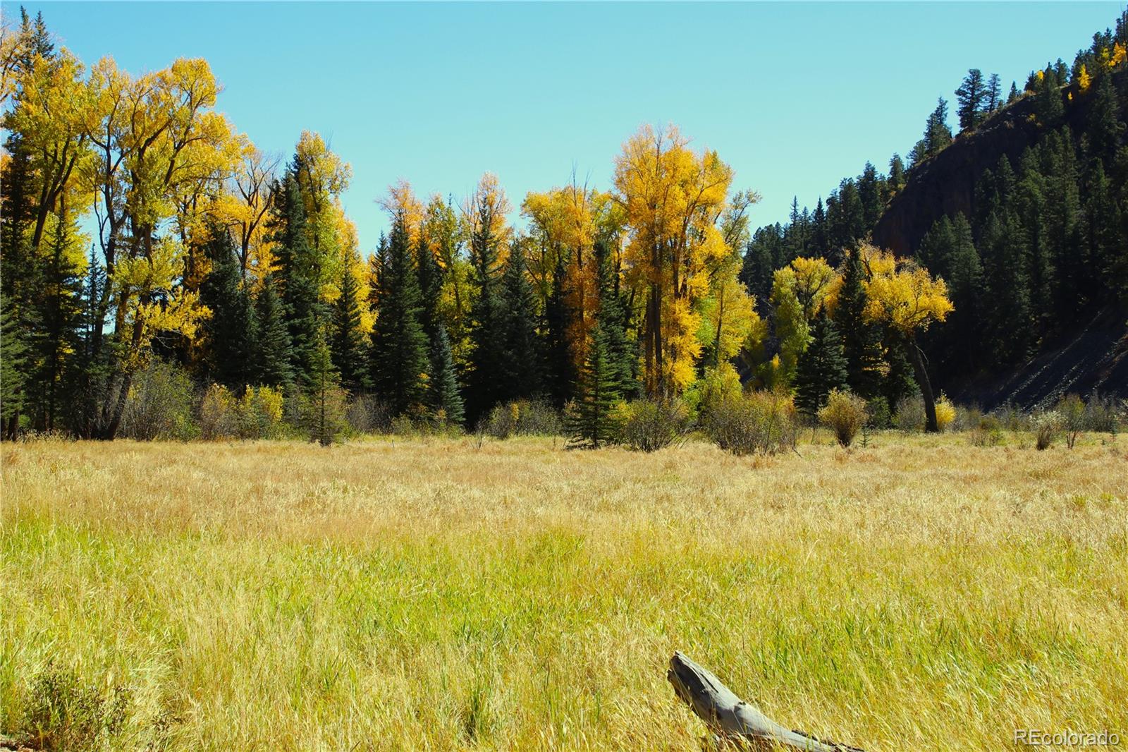 38938 Nf-250 Del Norte, CO 81132 - Photo 17 of 22 a view of a yard