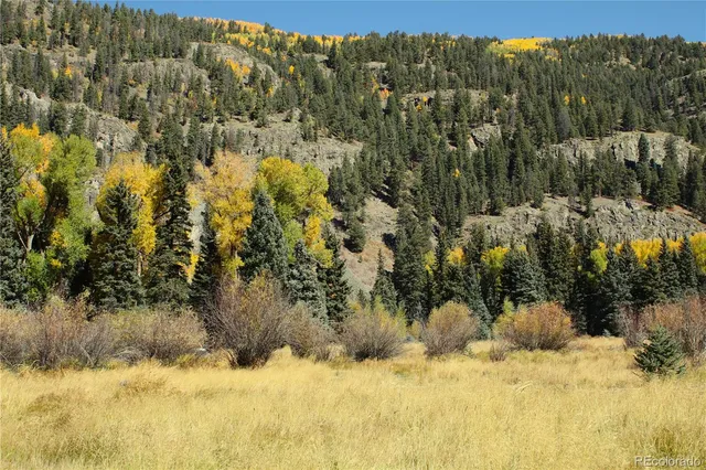 $1,350,000 | 38938 Nf-250, Del Norte, CO 81132