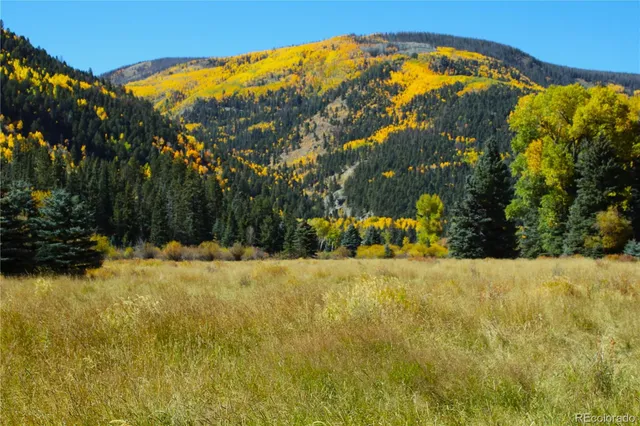 $1,350,000 | 38938 Nf-250, Del Norte, CO 81132