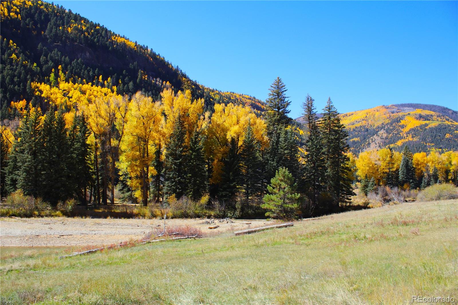 38938 Nf-250 Del Norte, CO 81132 - Photo 3 of 22 a view of road and trees