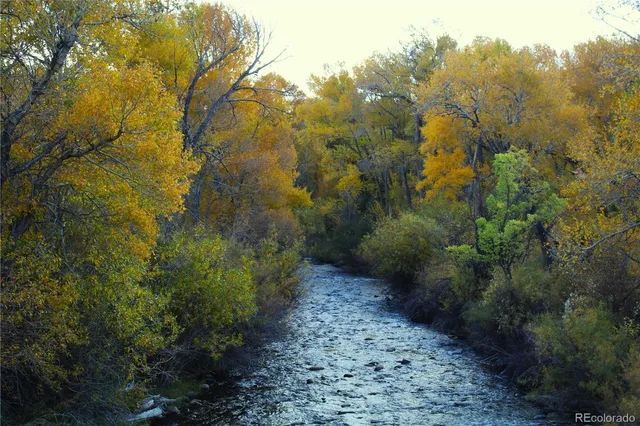 a view of water yard with trees