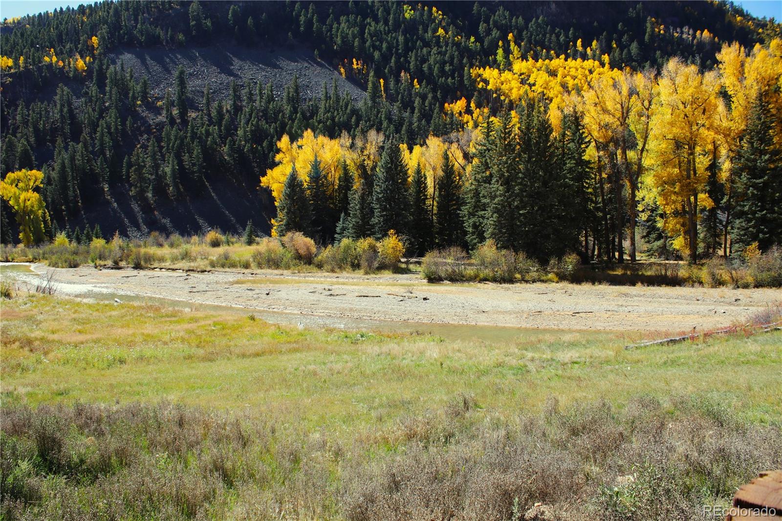 38938 Nf-250 Del Norte, CO 81132 - Photo 7 of 22 a view of water yard with trees