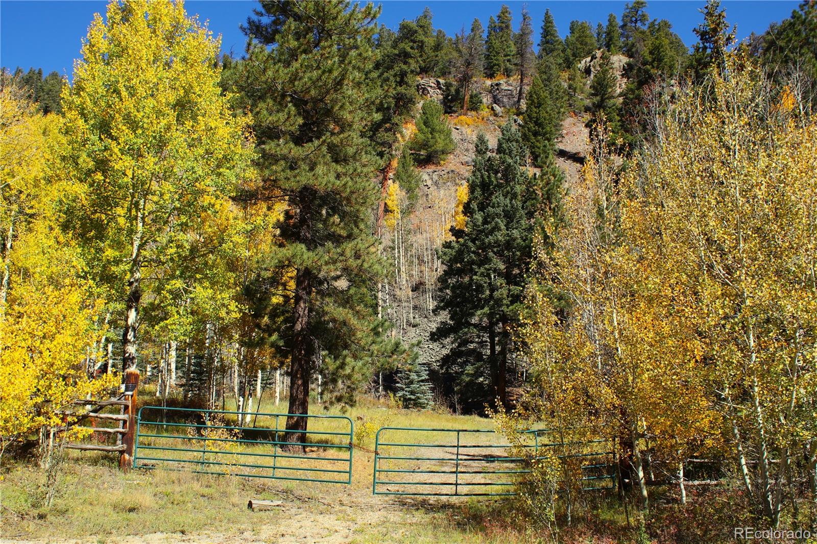 38938 Nf-250 Del Norte, CO 81132 - Photo 9 of 22 a view of swimming pool and trees