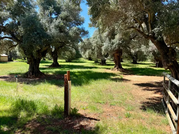 $350,000 | 5572 Olive Street, Anderson, CA 96007