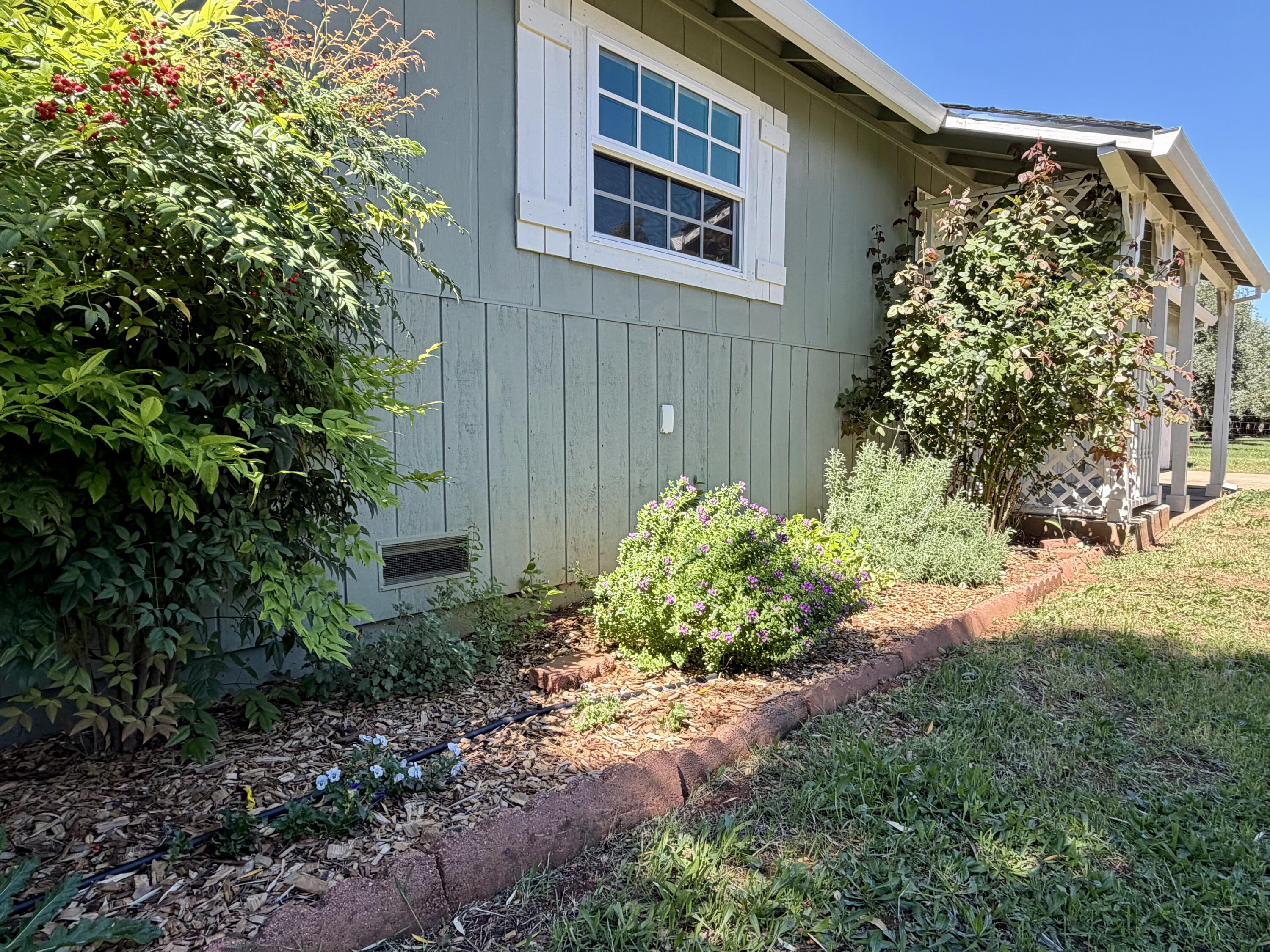 5572 Olive Street Anderson, CA 96007 - Photo 27 of 35 a view of a backyard with plants