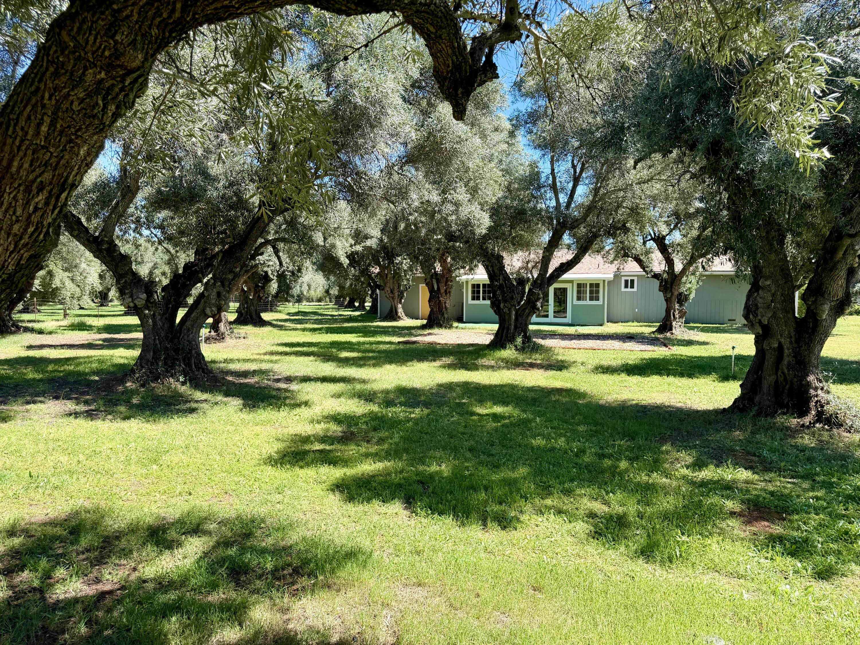 5572 Olive Street Anderson, CA 96007 - Photo 28 of 35 a view of a golf course