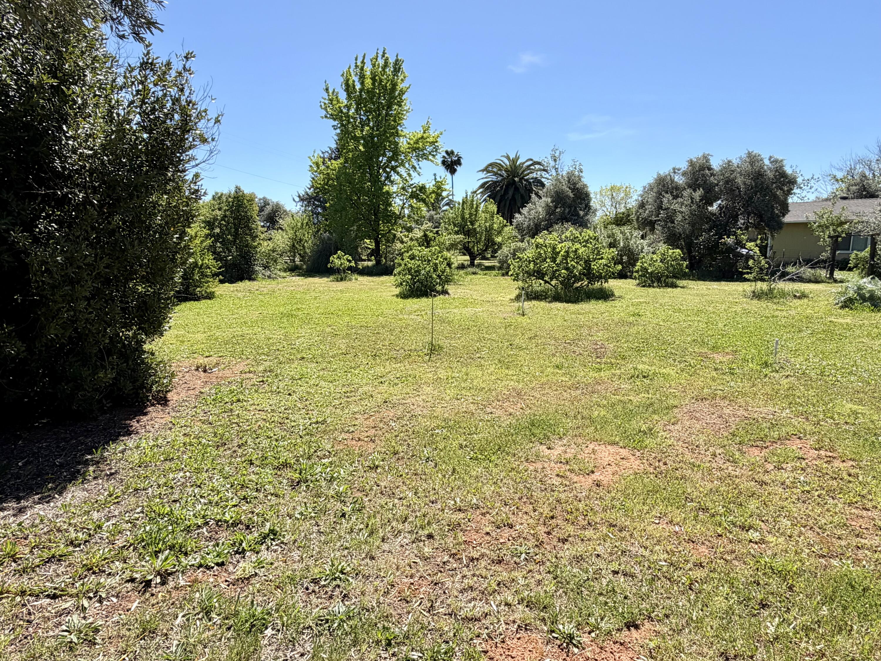 5572 Olive Street Anderson, CA 96007 - Photo 30 of 35 a large yard with green space