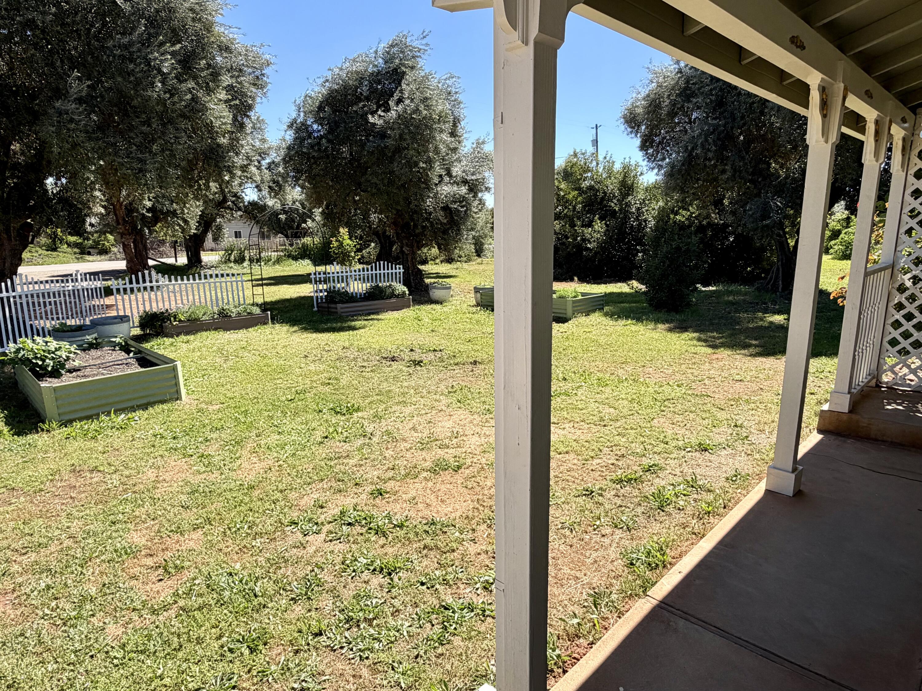5572 Olive Street Anderson, CA 96007 - Photo 5 of 35 a view of swimming pool with a patio