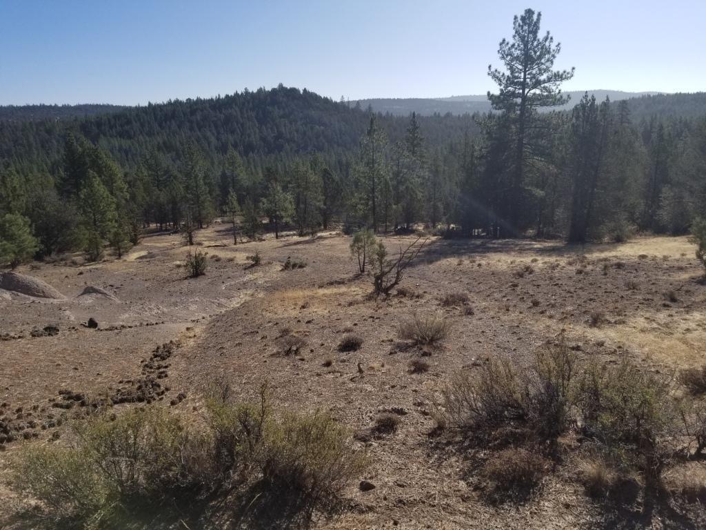 Nsa Anderson Ranch Road McArthur, CA 96056 - Photo 4 of 12 NSA Anderson 10