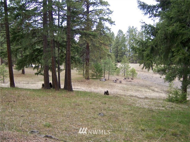 205 Stag Road Cle Elum, WA 98922 - Photo 1 of 1 Gallery Image 1