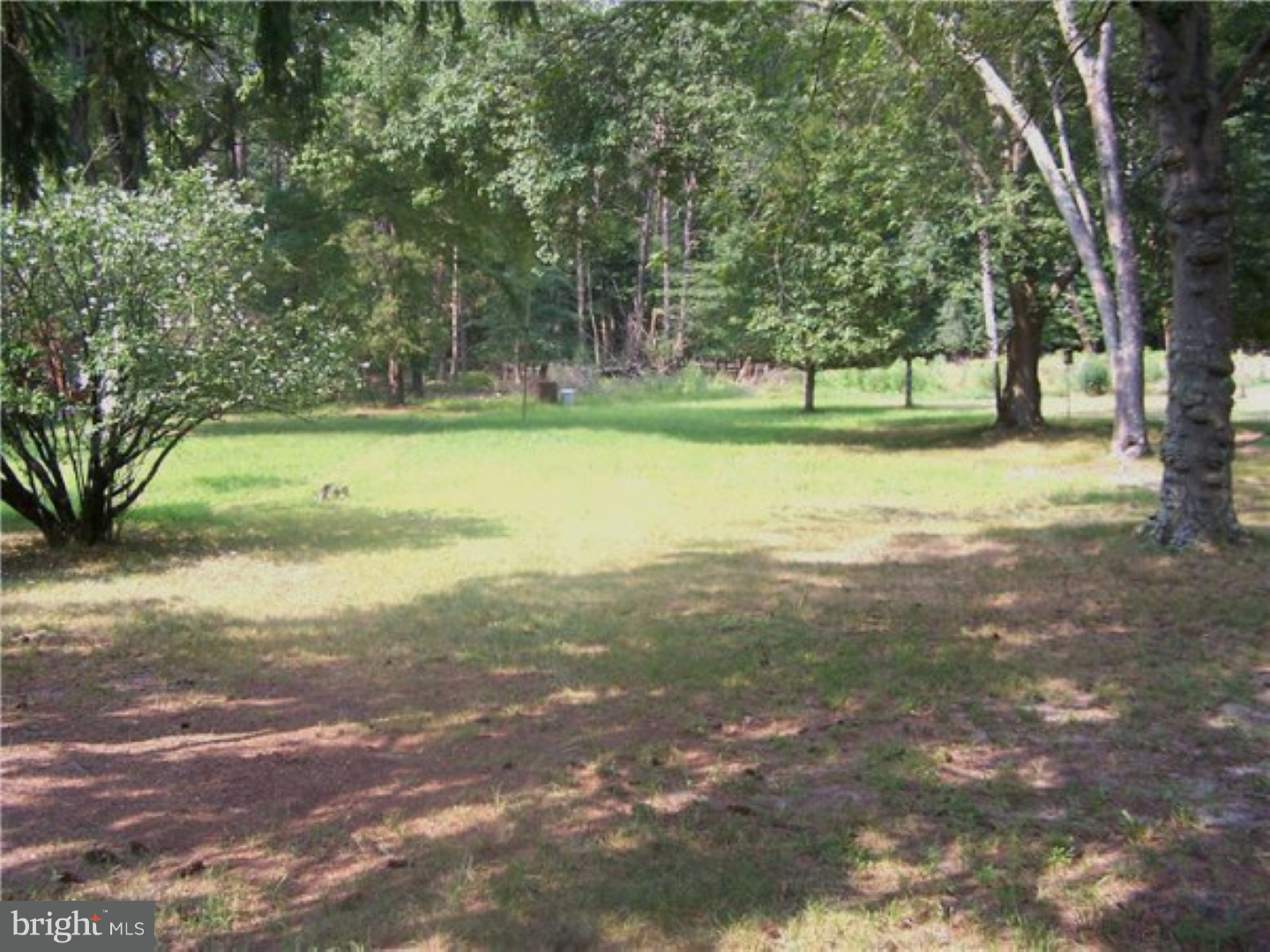 573 Tabernacle Road Medford, NJ 08055 - Photo 20 of 22 a view of a park with large trees