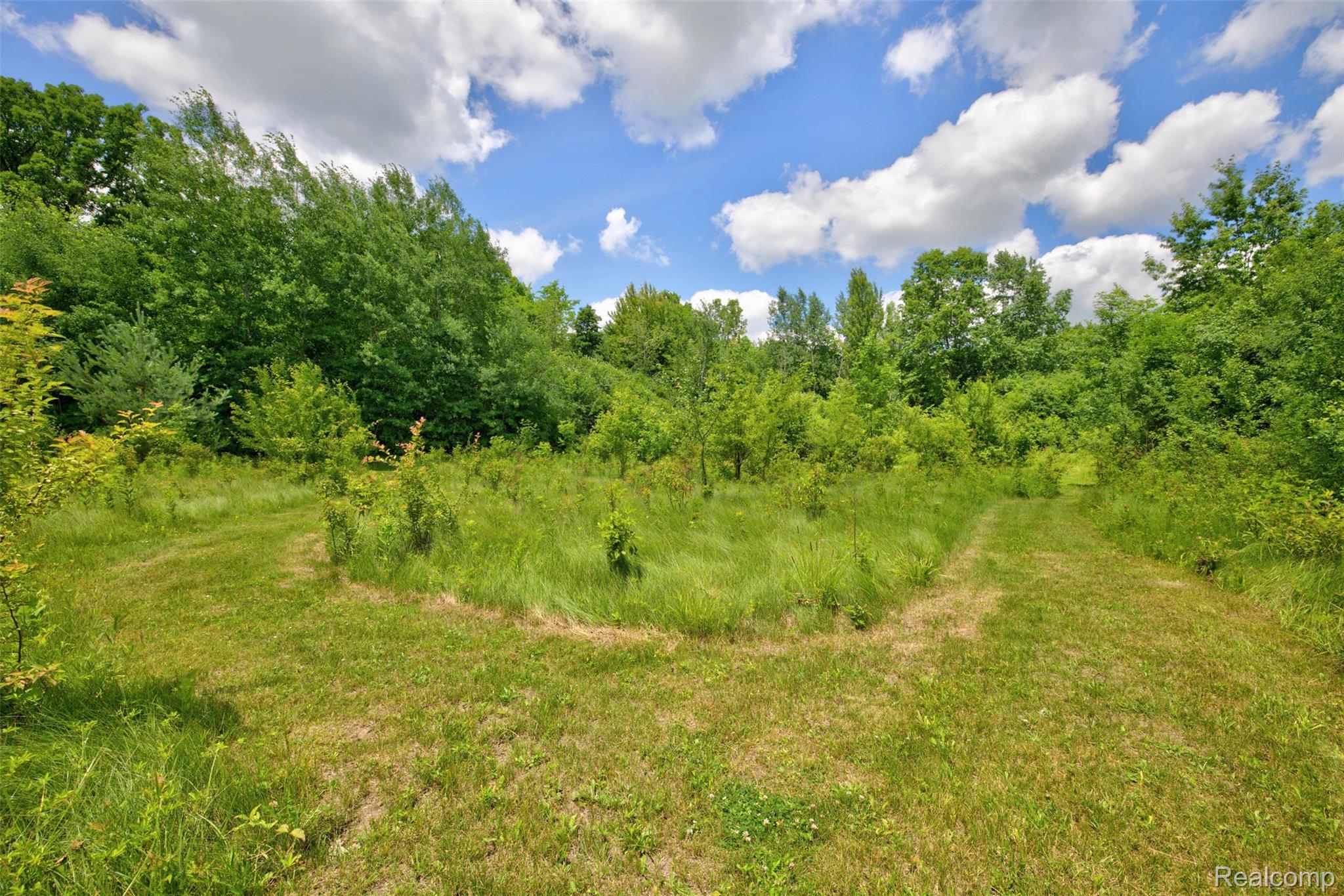 5244 Oleksyn Road Flint, MI 48504 - Photo 57 of 70 Expansive green space featuring two distinct mown pathways, lush deciduous trees, dense foliage, and a clear sky with scattered clouds