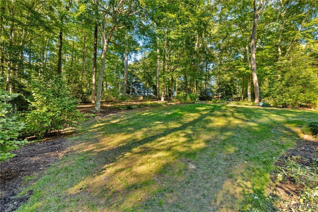 17 Dahlgren Road Richmond, VA 23238 - Photo 48 of 49 a big yard with trees