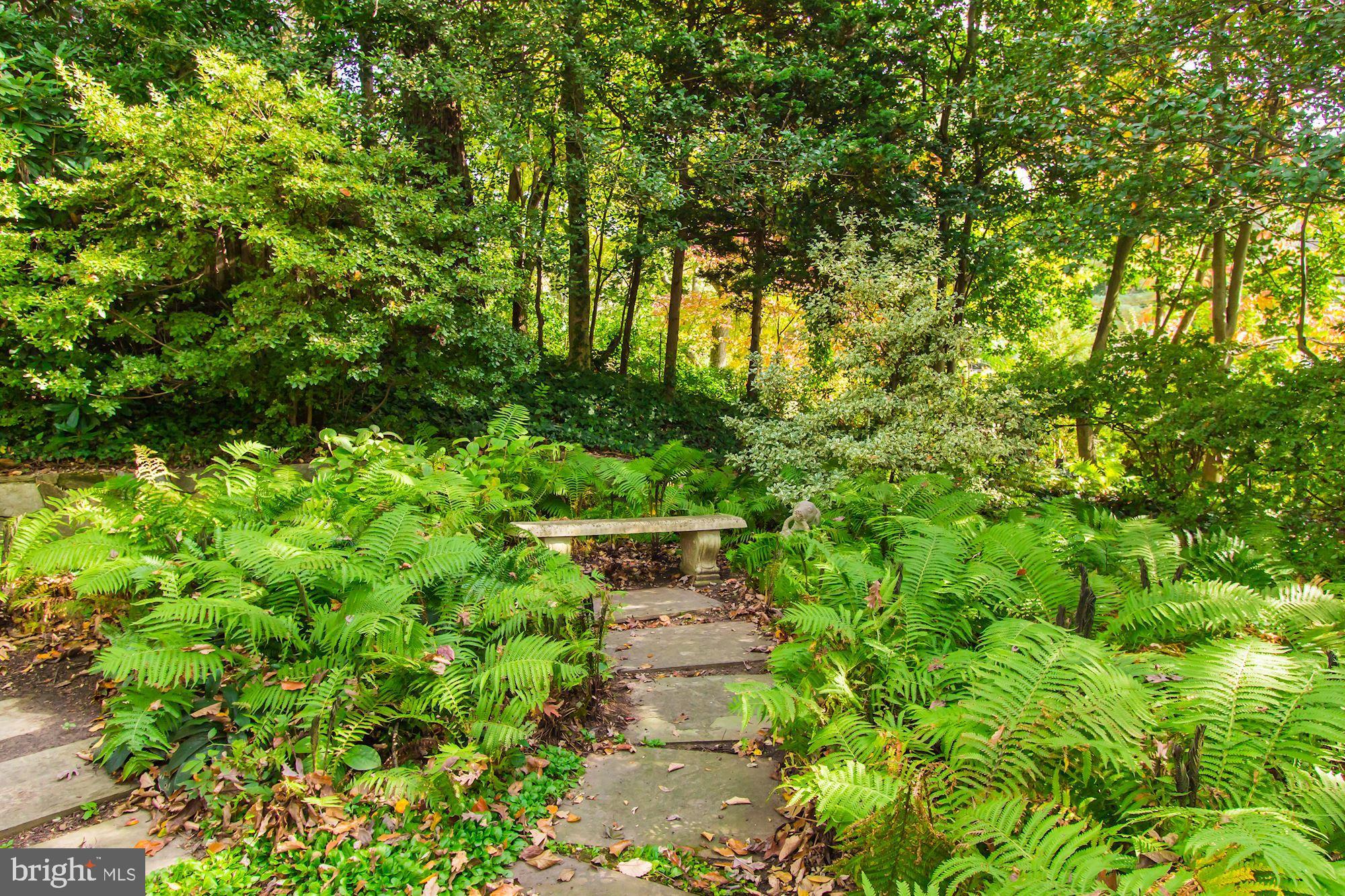 4777 Dexter Street Northwest Washington, DC 20007 - Photo 26 of 30 Enchanting Garden
