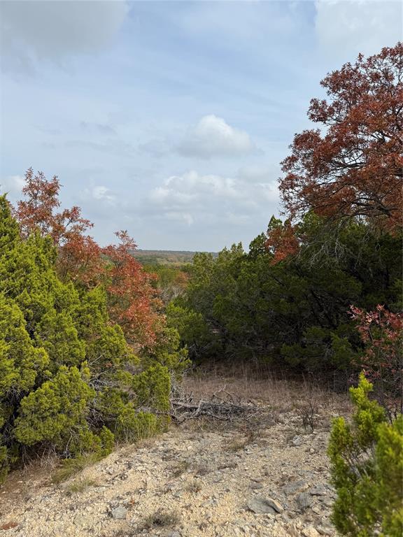 Tbd Butterfield Trail Road Tuscola, TX 79562 - Photo 3 of 10 a view of a lake with a mountain