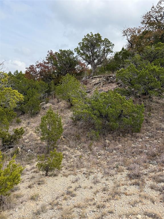 Tbd Butterfield Trail Road Tuscola, TX 79562 - Photo 4 of 10 a view of a yard with plants and a tree