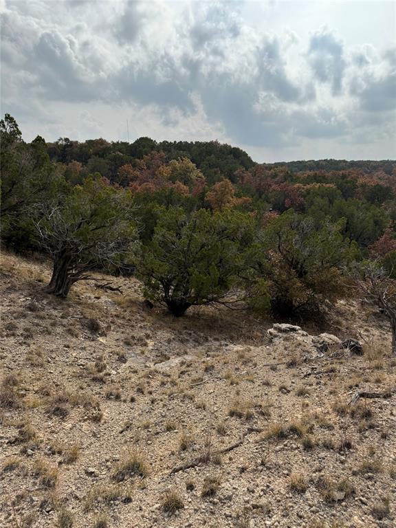 Tbd Butterfield Trail Road Tuscola, TX 79562 - Photo 6 of 10 a view of outdoor space with mountain view
