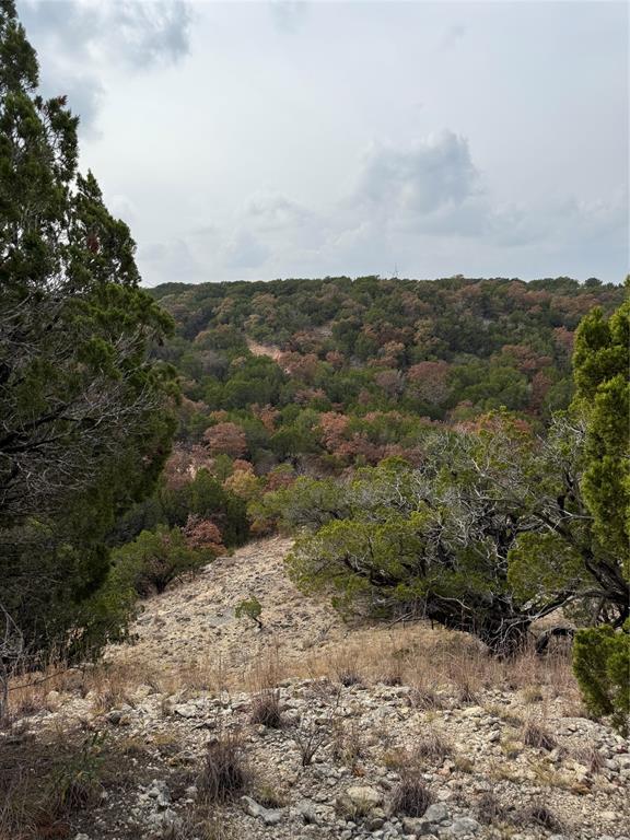 Tbd Butterfield Trail Road Tuscola, TX 79562 - Photo 8 of 10 a view of a dry yard with lots of trees
