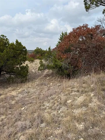 a view of a dry yard with trees in the background