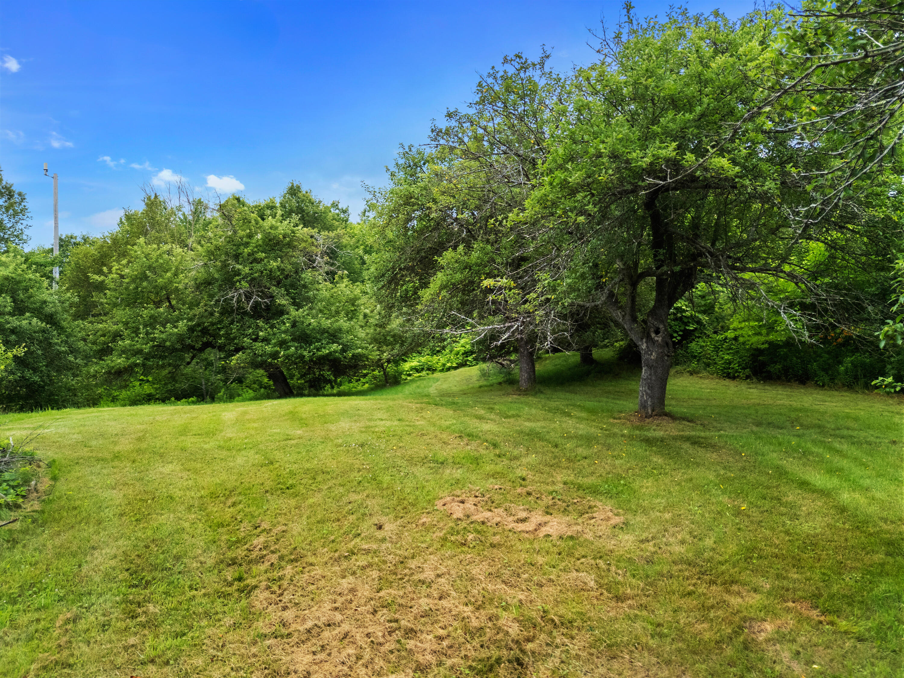 549 Litchfield Road Bowdoin, ME 04287 - Photo 65 of 104 Orchard