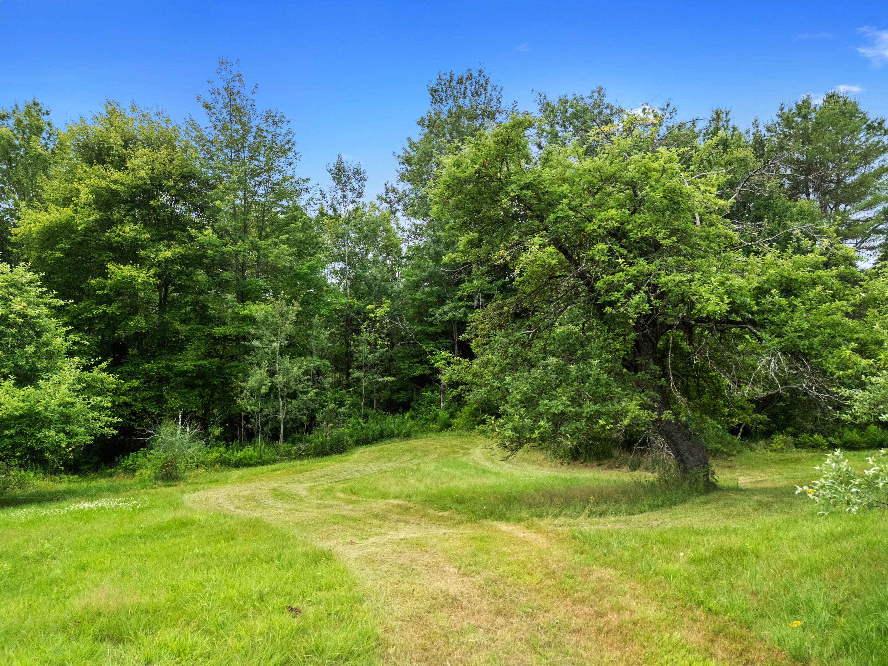 549 Litchfield Road Bowdoin, ME 04287 - Photo 67 of 104 Orchard