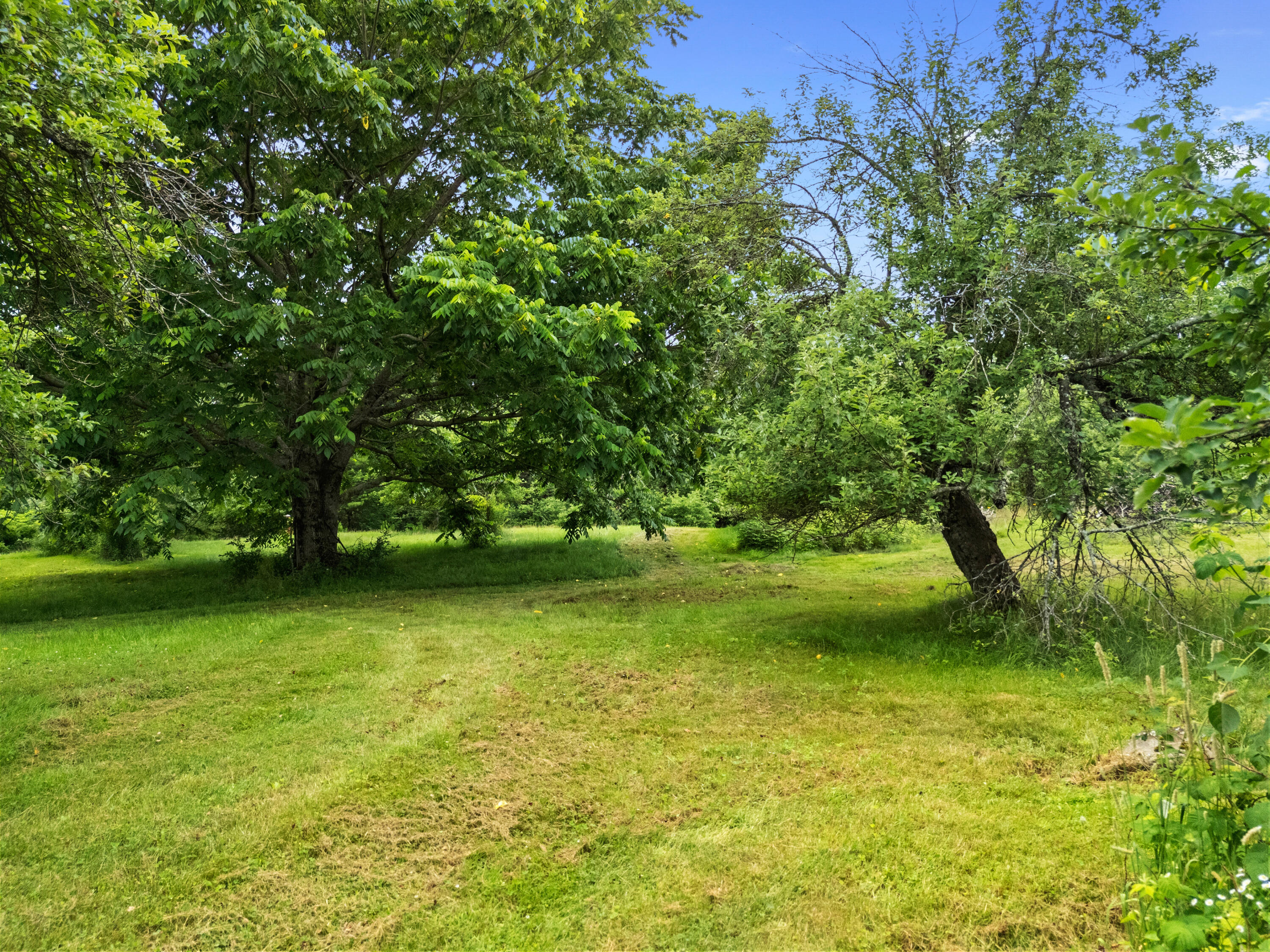 549 Litchfield Road Bowdoin, ME 04287 - Photo 68 of 104 Orchard
