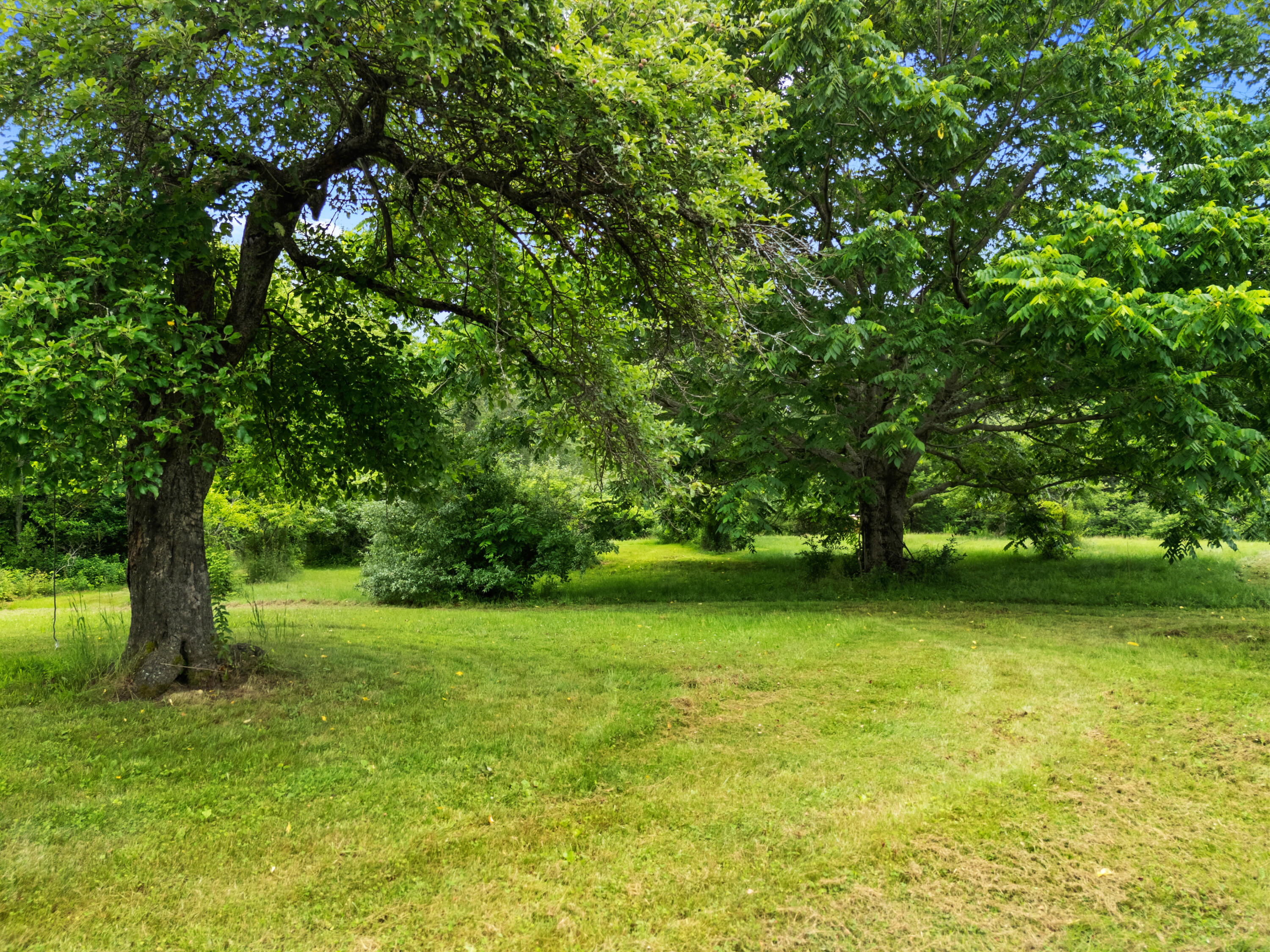 549 Litchfield Road Bowdoin, ME 04287 - Photo 69 of 104 Orchard