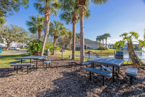 a view of a backyard with palm trees