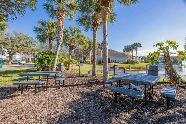 a view of a backyard with palm trees