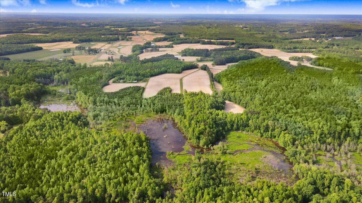 0 Layton Store Road Castalia, NC 27816 - Photo 7 of 17 07-Layton Store Rd-7