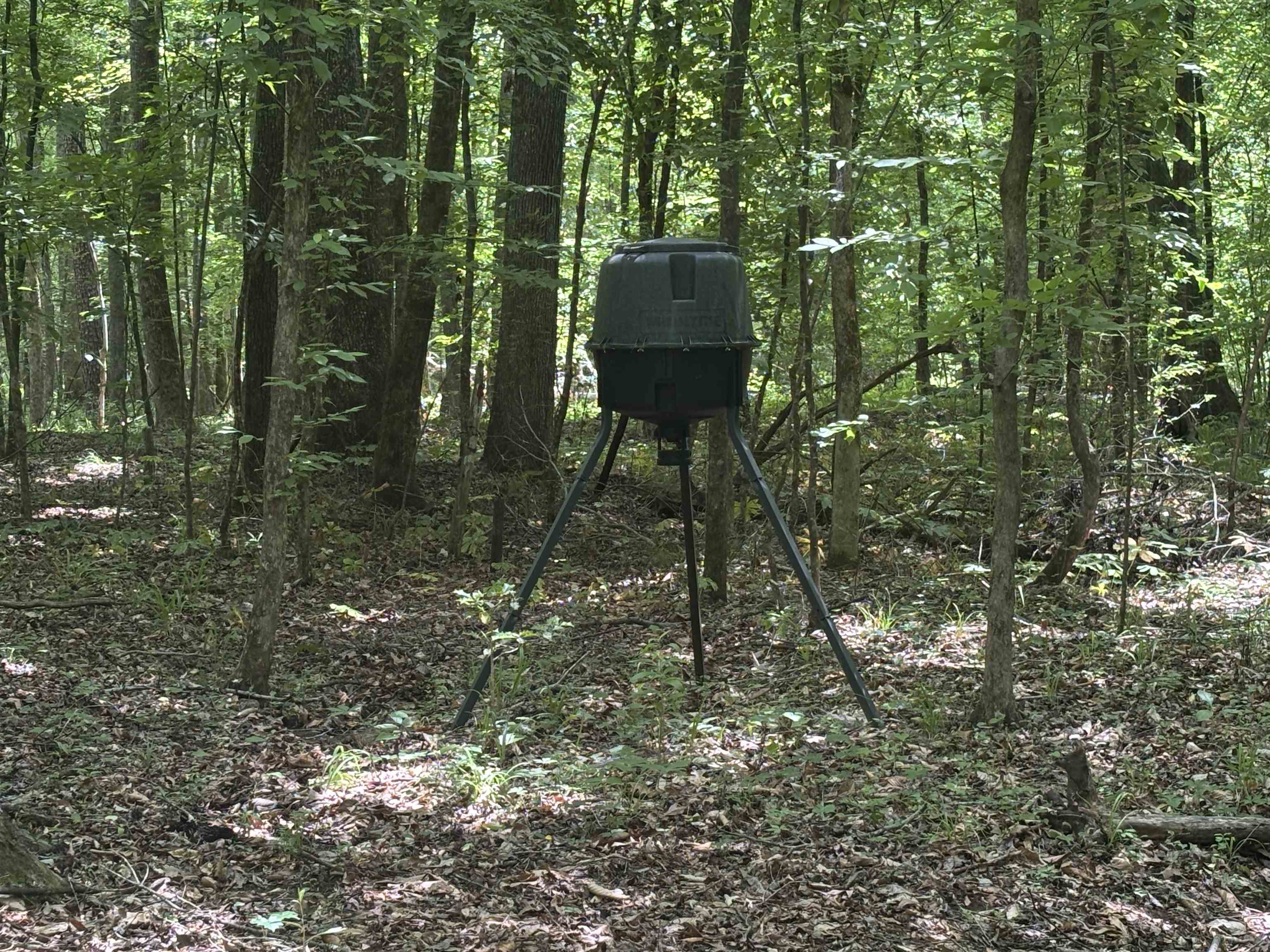 19.5-acres McMahan Road Middleton, TN 38052 - Photo 11 of 28
