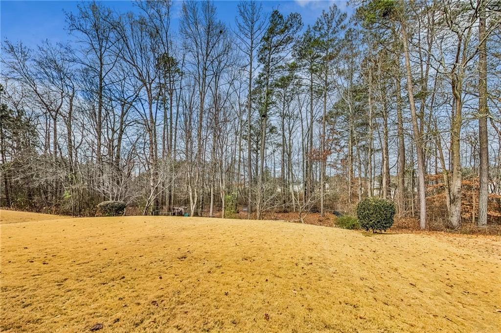 4262 Defoors Farm Trail Powder Springs, GA 30127 - Photo 42 of 46