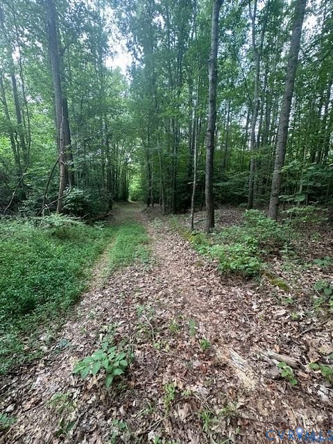 0 Ballsville Road Powhatan, VA 23139 - Photo 1 of 7