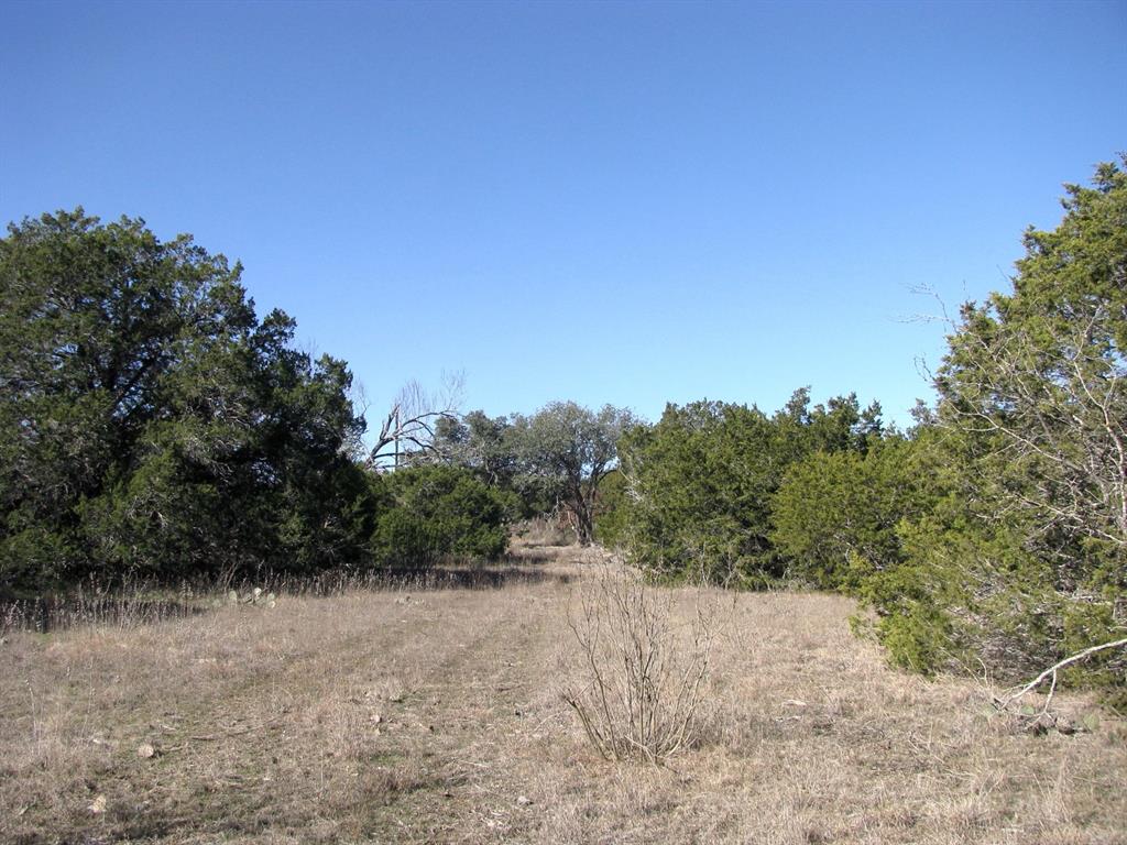 Lot 3-ph County Road 421 Evant, TX 76525 - Photo 19 of 27