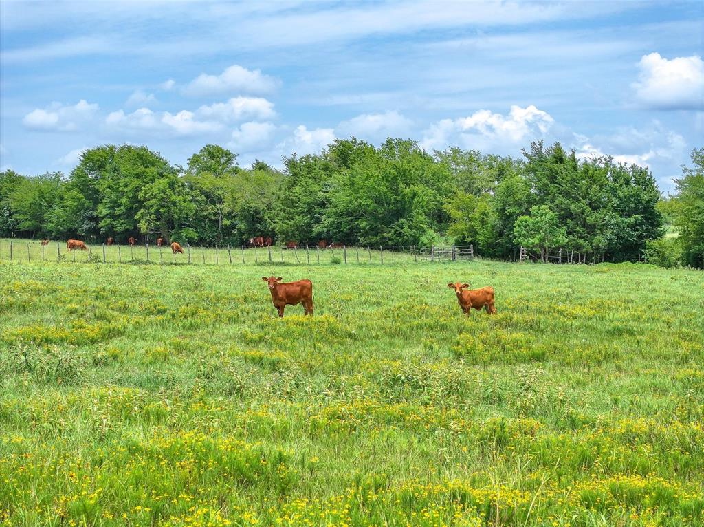 4 Fm 855 Jacksonville, TX 75766 - Photo 5 of 16