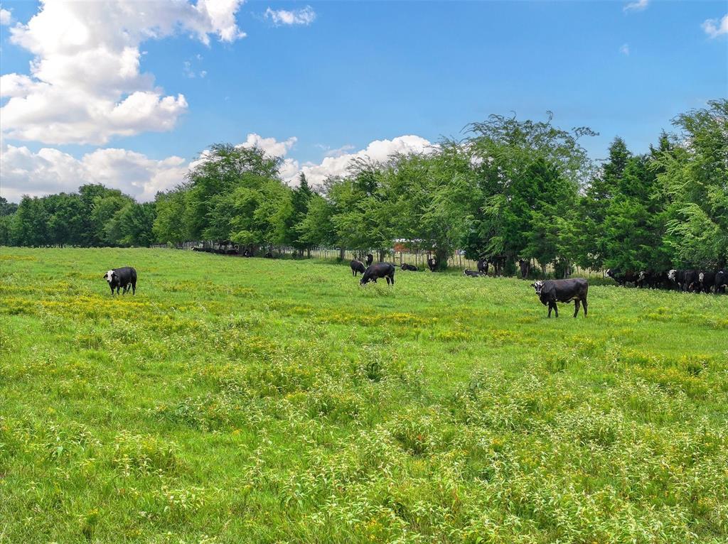 4 Fm 855 Jacksonville, TX 75766 - Photo 8 of 16