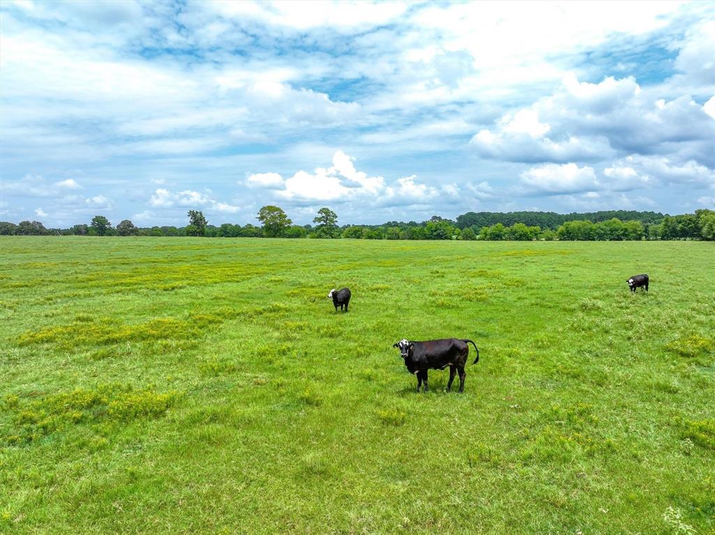 4 Fm 855 Jacksonville, TX 75766 - Photo 9 of 16