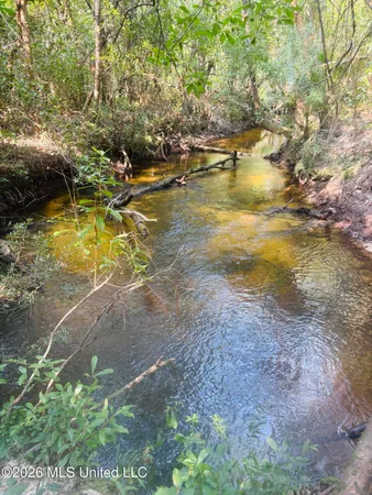 $268,000 | East Beesley Road, Lucedale, MS 39452