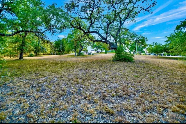 a view of backyard with green space