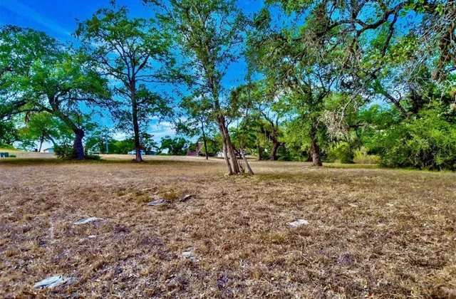 a view of outdoor space with trees