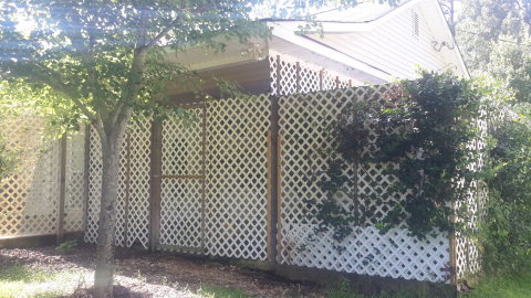 2100 Allen Road Culloden, GA 31016 - Photo 11 of 19 a bathroom with a shower curtain