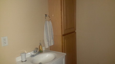 2100 Allen Road Culloden, GA 31016 - Photo 3 of 19 a bathroom with a sink and a mirror