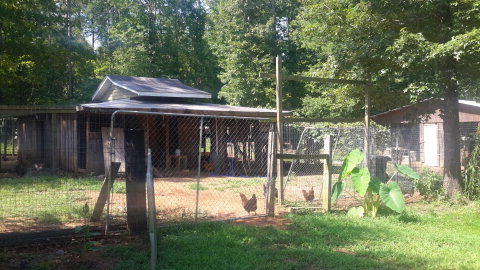 2100 Allen Road Culloden, GA 31016 - Photo 8 of 19 a view of a small yard in front of house