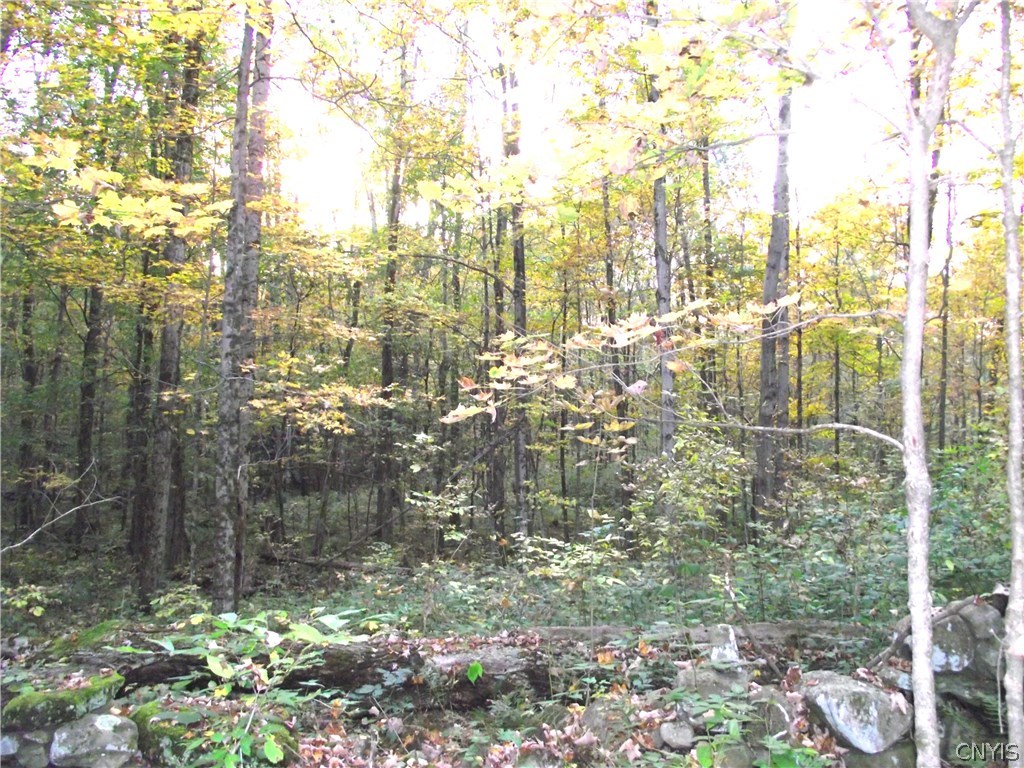 Lot 2 Howard Road Camden, NY 13316 - Photo 1 of 1 Gallery Image 1