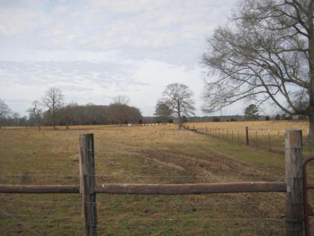 27291 State Line Road Ardmore, TN 38449 - Photo 8 of 12