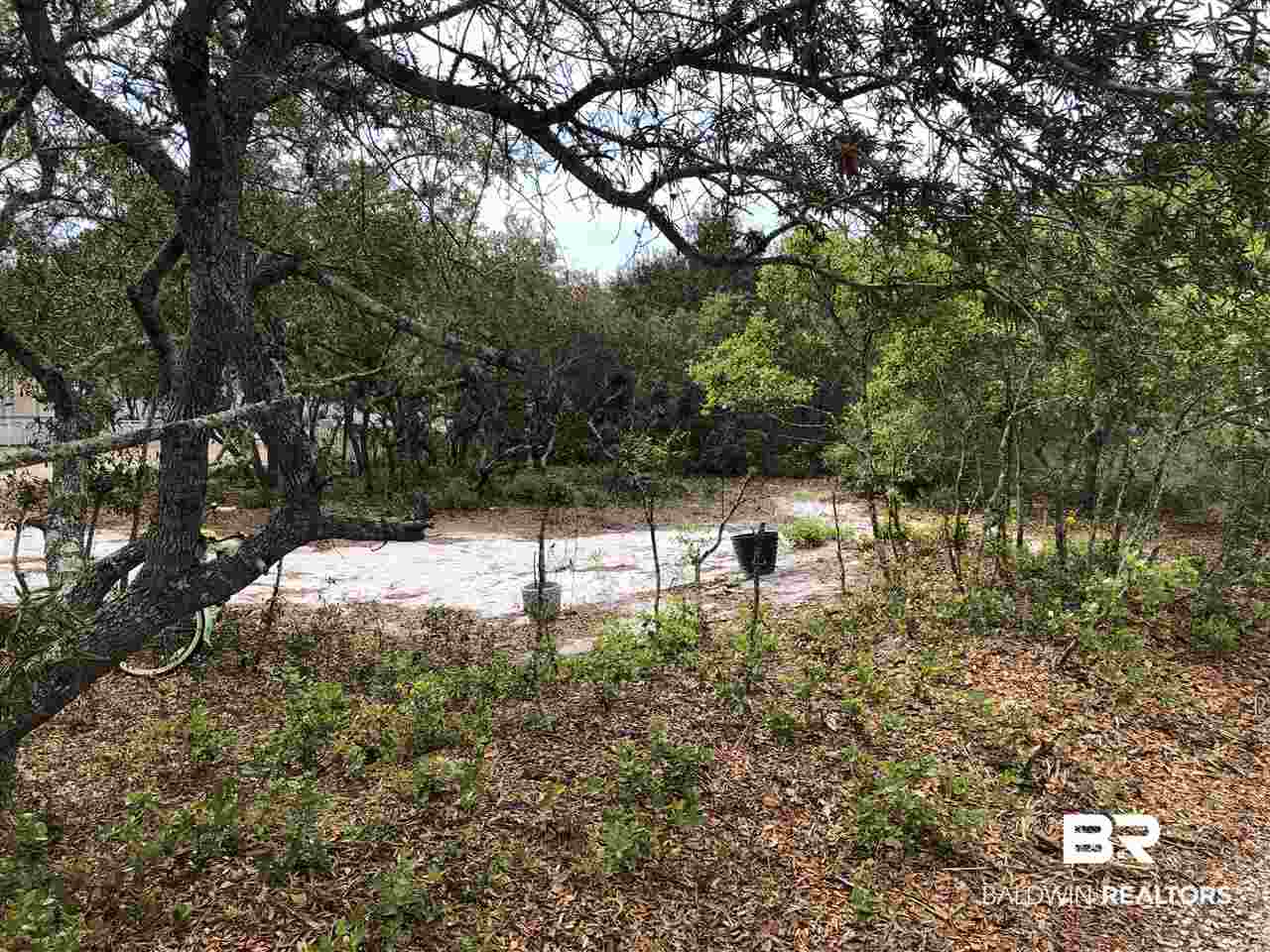 60 Parks Edge Orange Beach, AL 36561 - Photo 12 of 14