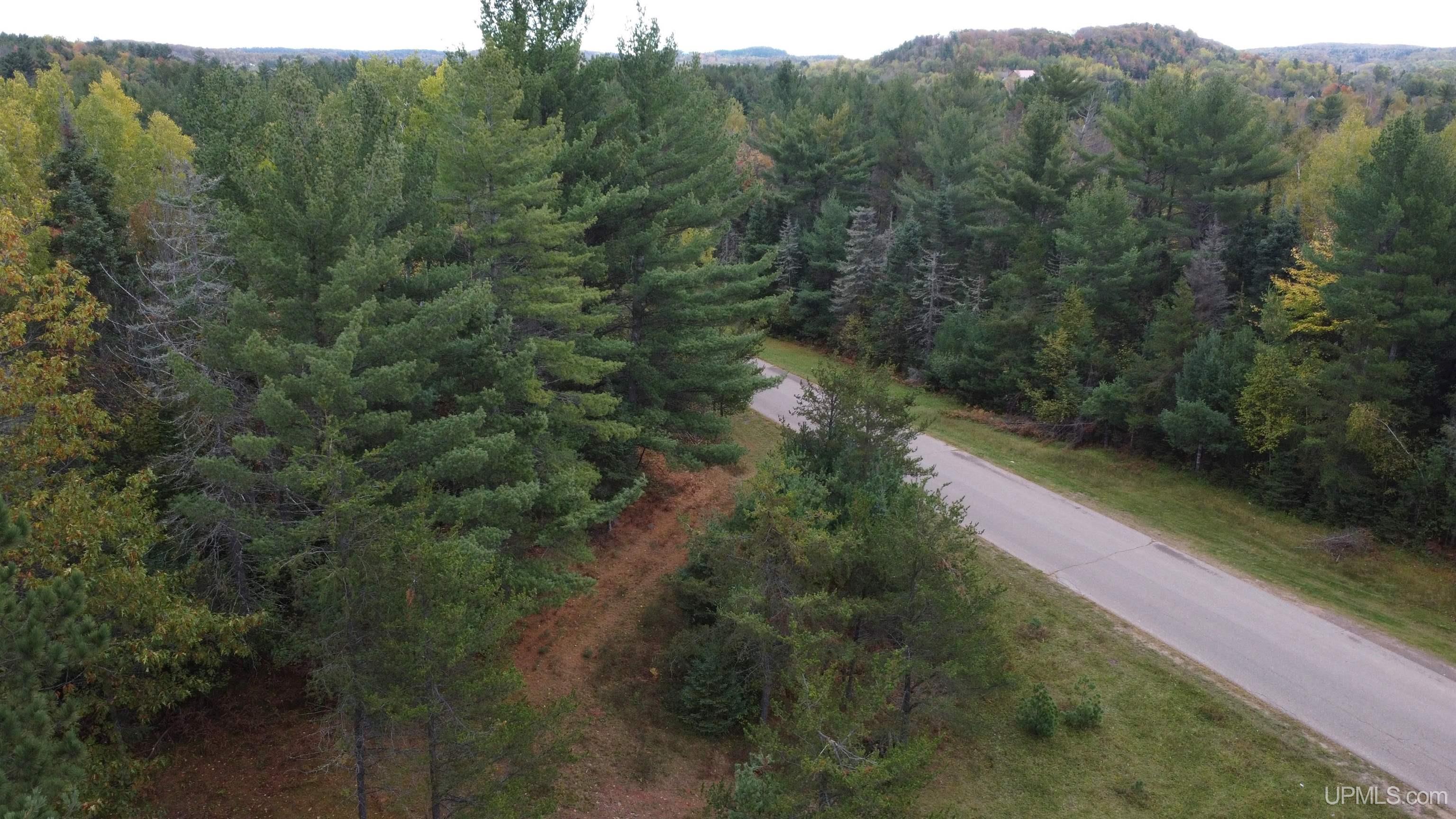 1040 River Ridge Drive Ishpeming, MI 49849 - Photo 9 of 21 Gallery Image 9